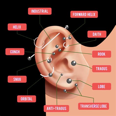 ear piercing diagram 
